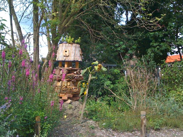 Het insectenhotel op het groene schoolplein.