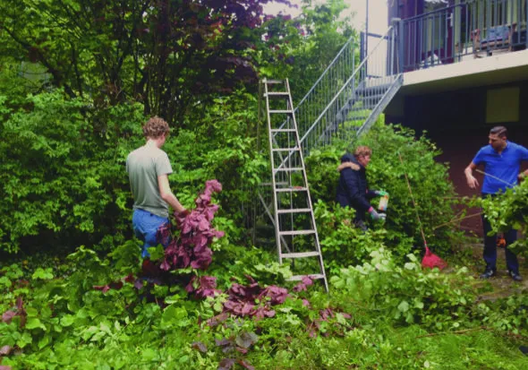 Van groene ambitie naar dagelijks gebruik: samen werken aan een duurzame leefomgeving.