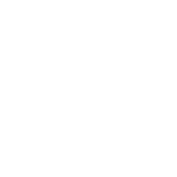 Shiney.ai