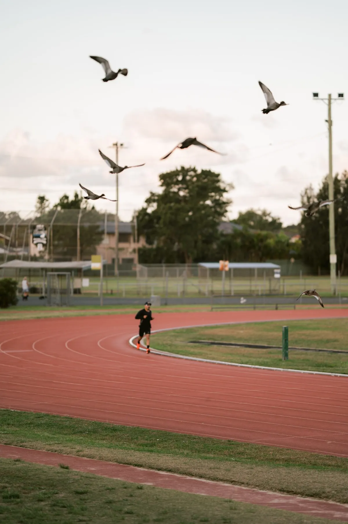 The 21.1km Crucible: Why the Half-Marathon is Won in the Dark