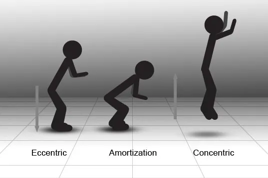 Is Lifting or Plyometrics Better for Runners? Exploring the Research