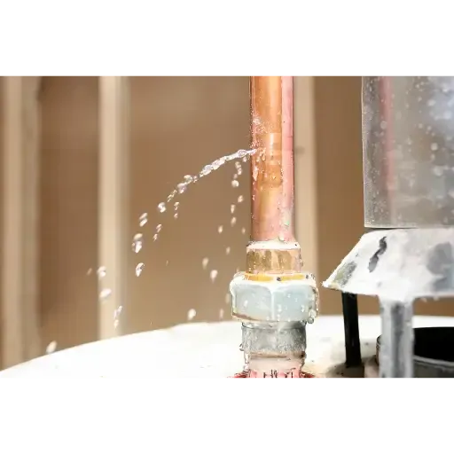 Professional leak detection and repair of residential water supply lines to prevent structural water damage in Barry County.