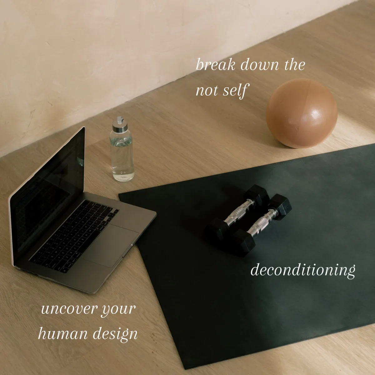 The Wellness Gym one-on-one wellness coaching by Crystal Garcia