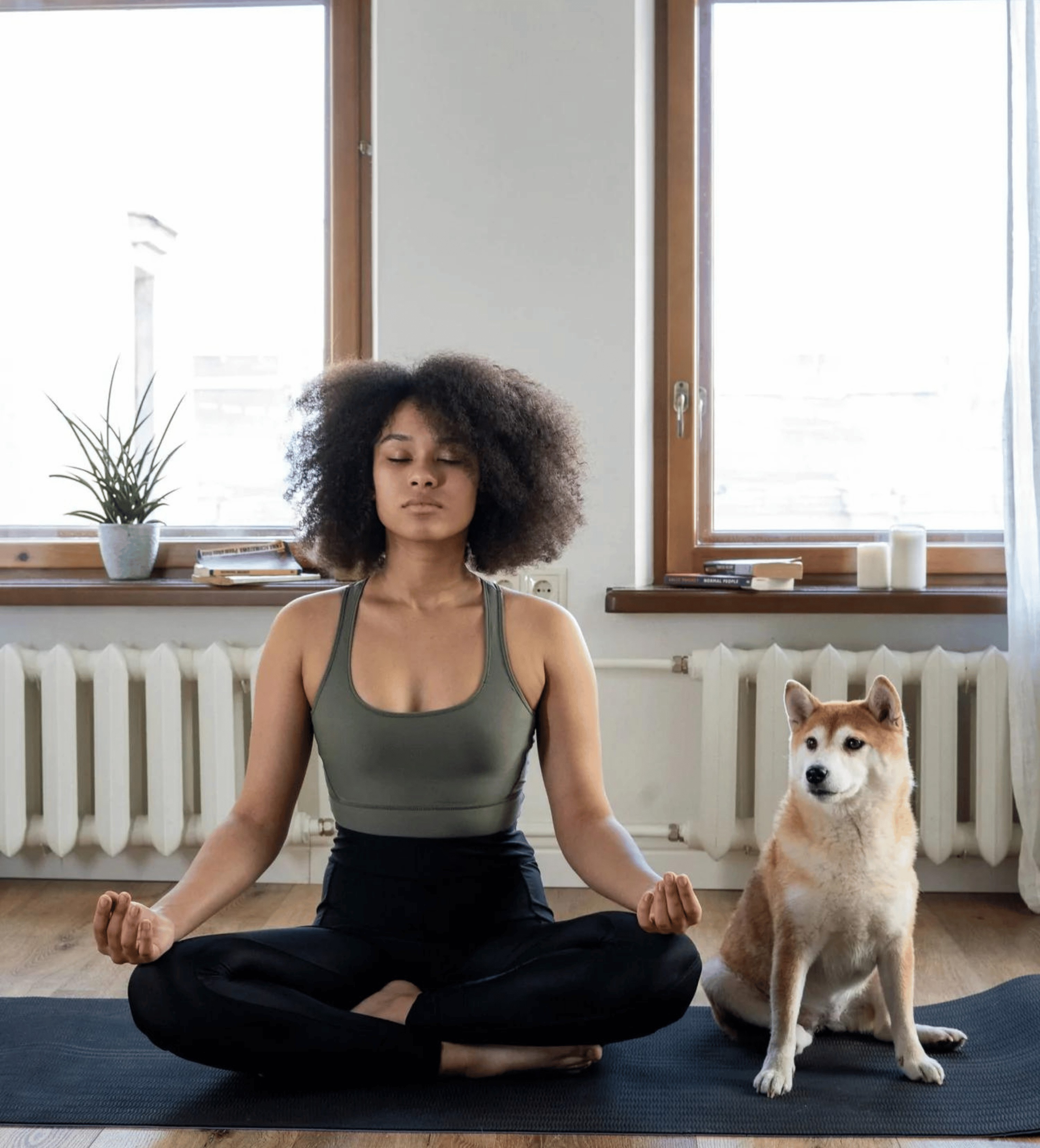 How To Create A Transformative Visualization Practice