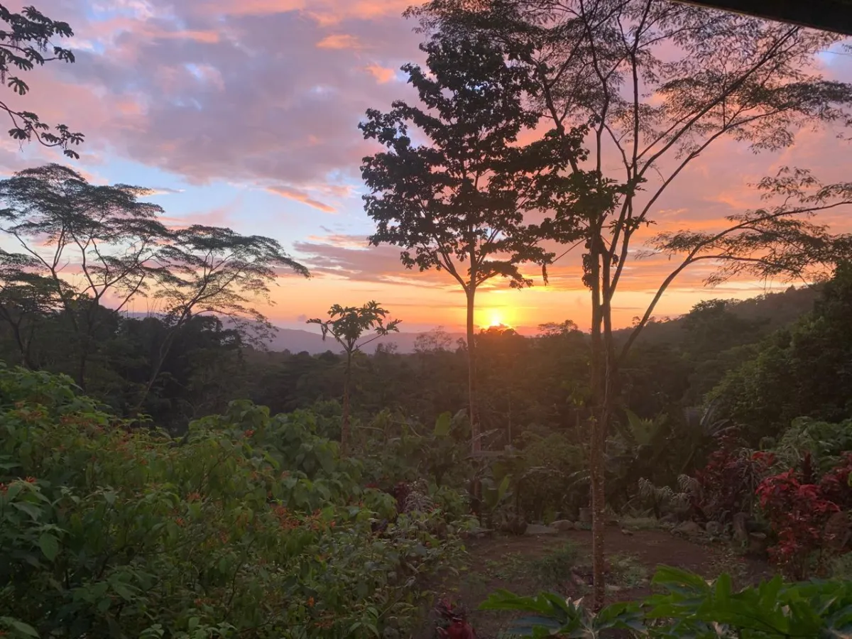 people sitting on brown wooden bench near green trees under blue sky and white clouds during