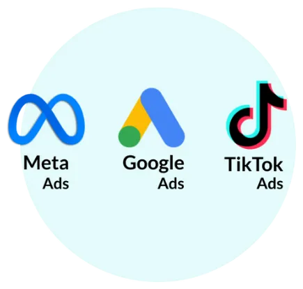 Meta ds. google ads y tik tok ads