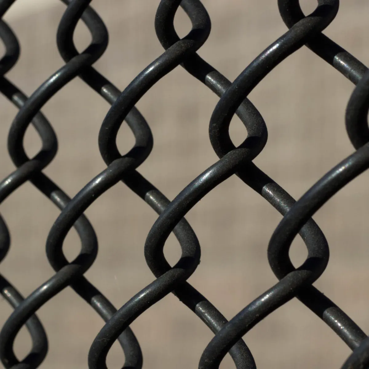 Chain link fence