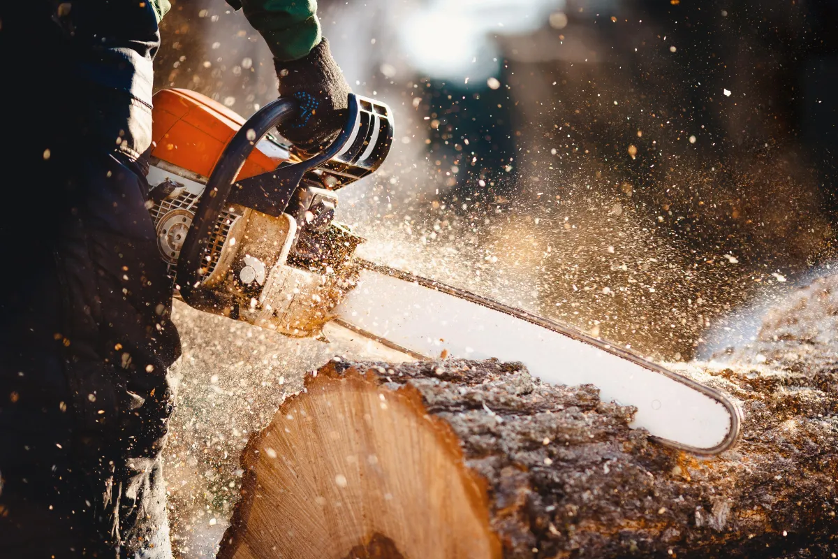 Tree Cutting In Monmouth and Ocean County