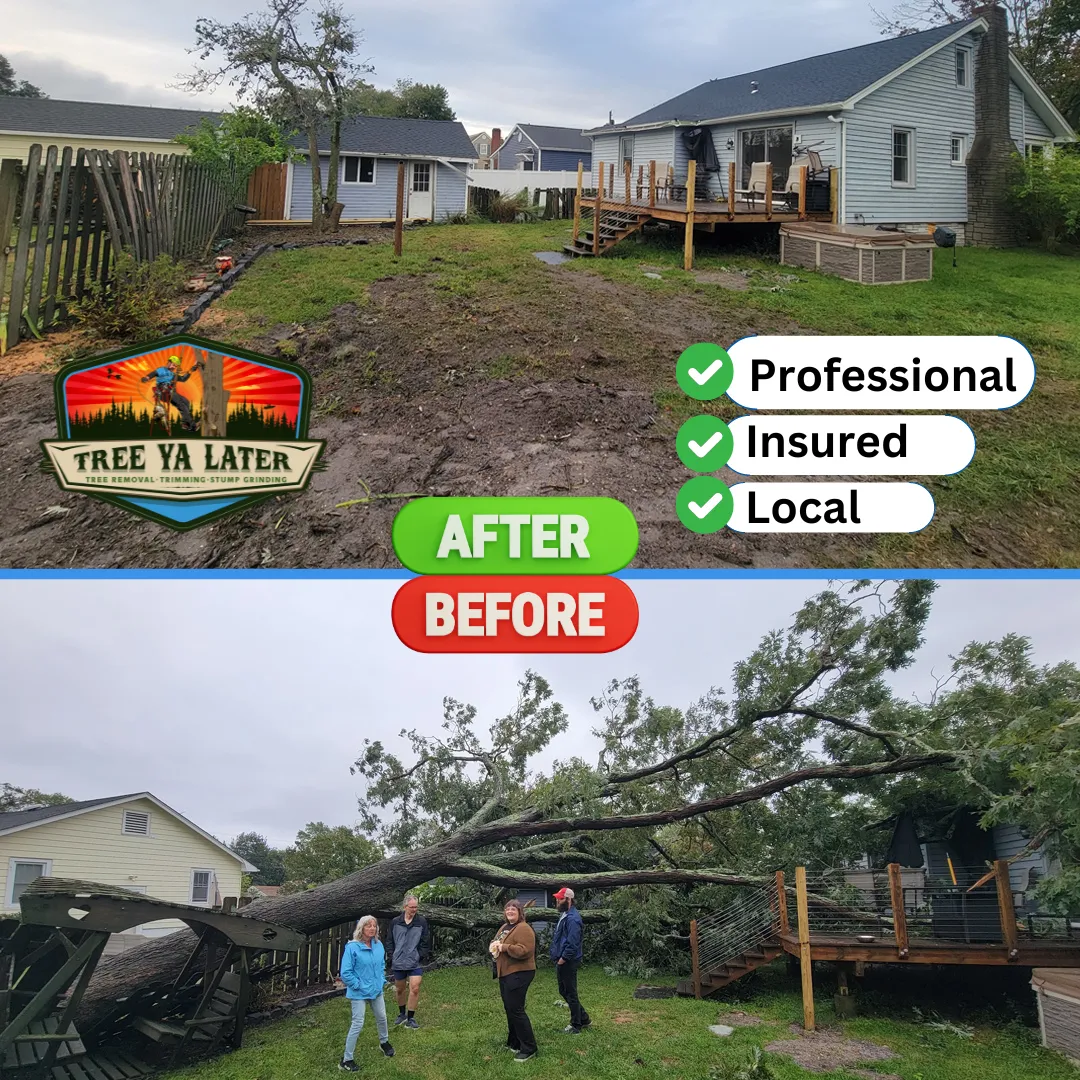 Tree Cutting In Monmouth and Ocean County