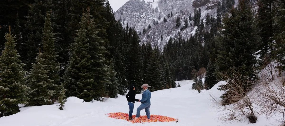 Jordan Pines proposal in Big Cottonwood Canyon with mountain meadow and pine trees