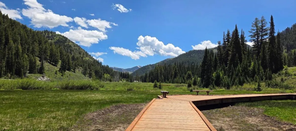 Donut Falls trailhead proposal in Big Cottonwood Canyon with forest scenery