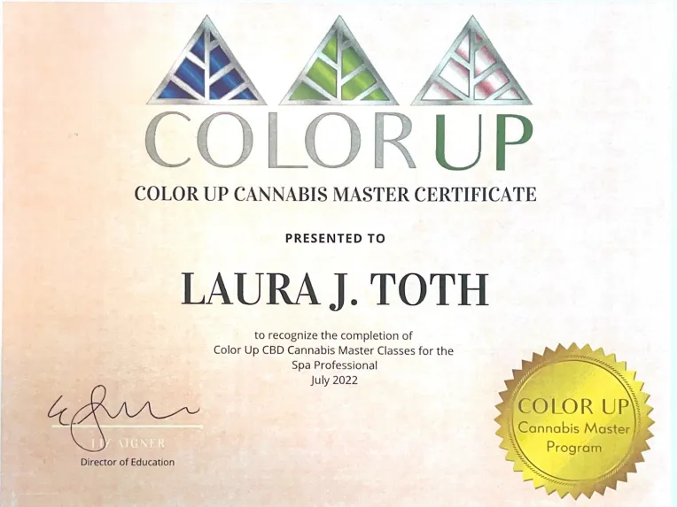 Laurie Toth's COLOR UP Master Certificate