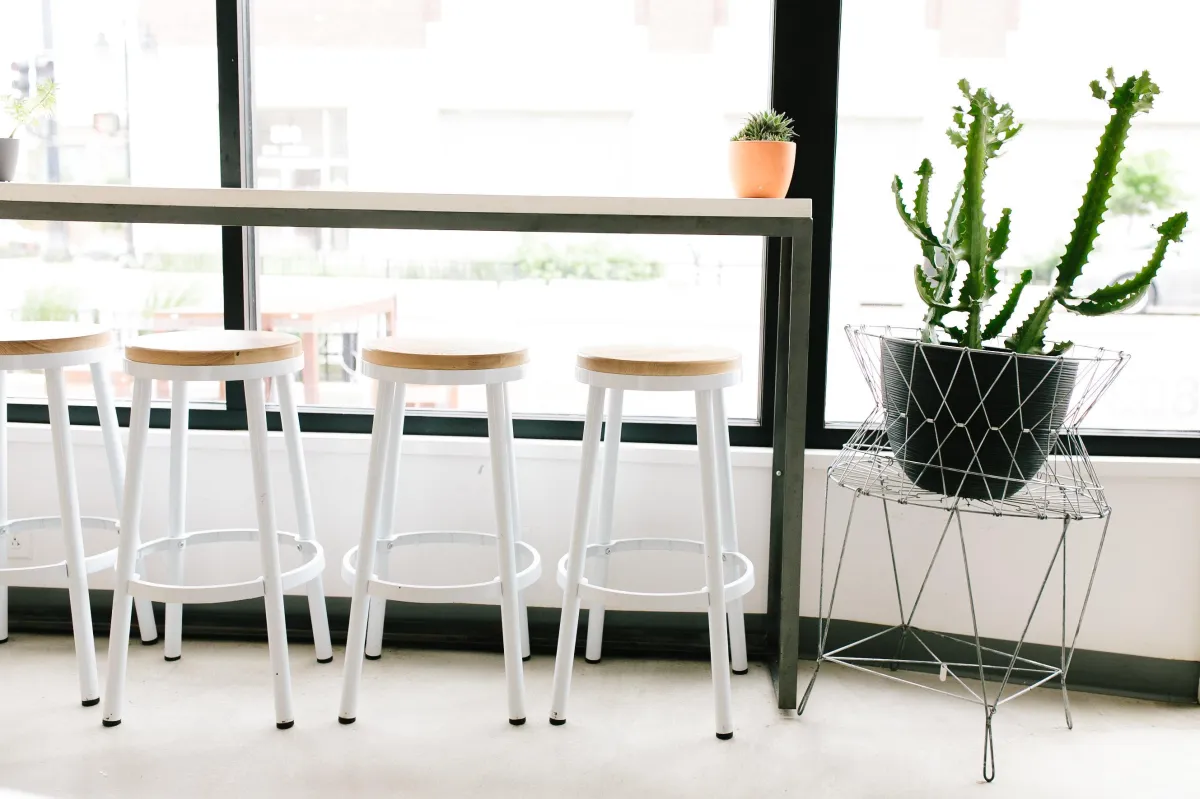 Modern, minimal workspace seating with white stools beside a large cactus plant in a wire stand, photographed in natural light. Represents the clean, human-centered design ethos of We Thrive Collective and the calm, capacity-supportive environments our systems help create.