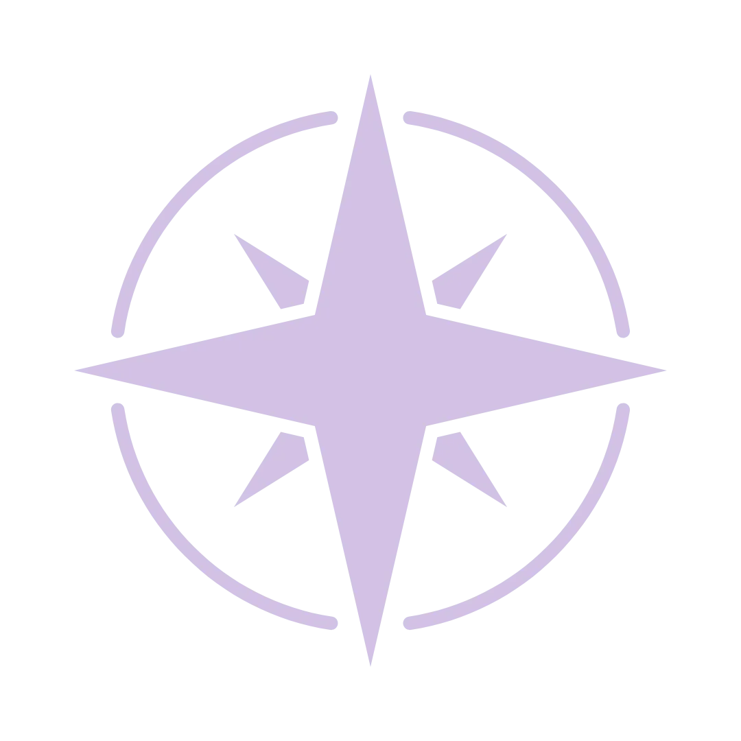 “Compass rose icon representing direction, strategy, and guided decision-making.”