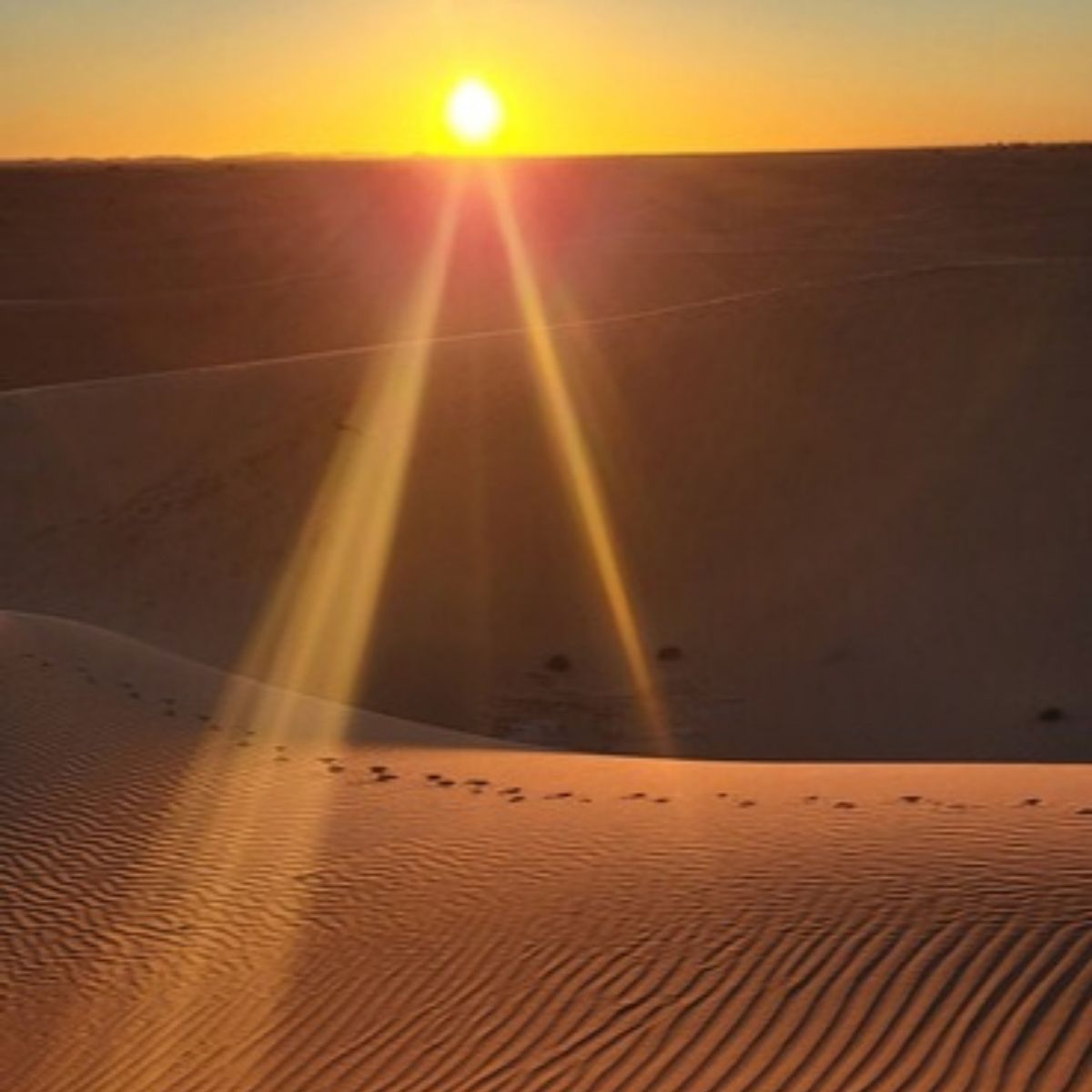 Sonnenuntergang über den Dünen der Sahara