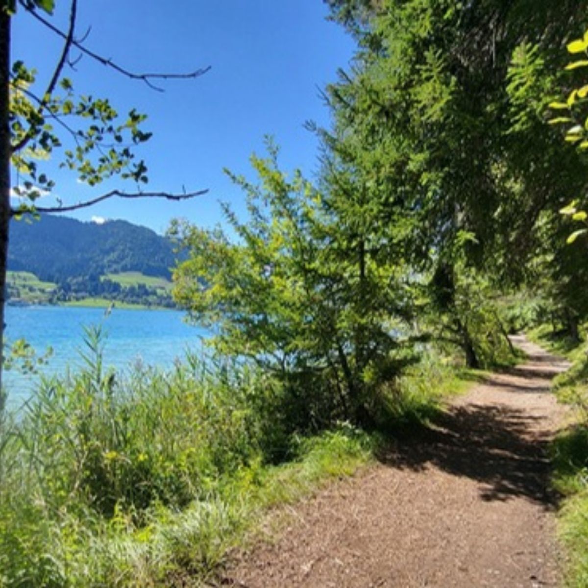 Wanderweg entlang des Sees