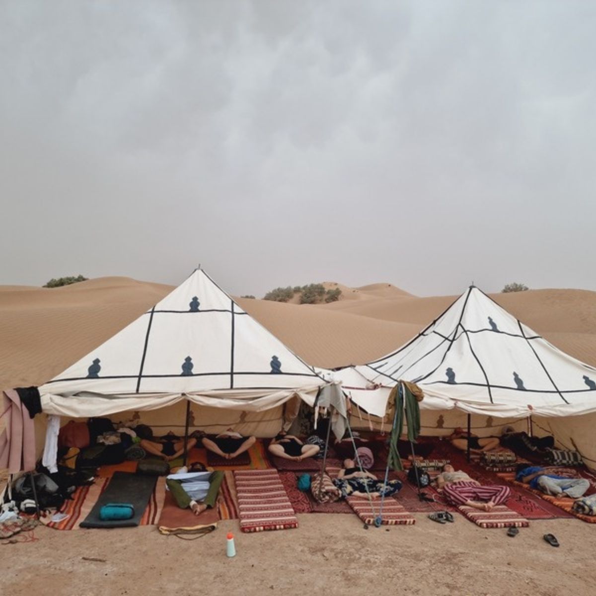 Offenes Zelt mit Teppichen und Sitzkissen im Wüstencamp