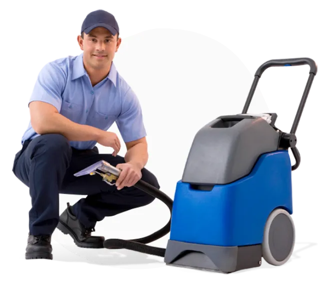 Carpet Cleaner Image