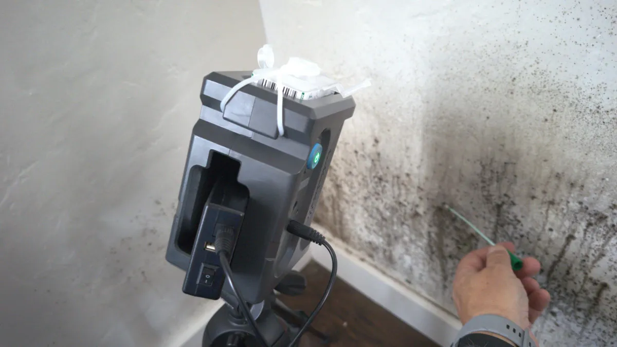 Mold Testing & Mold Inspection Service