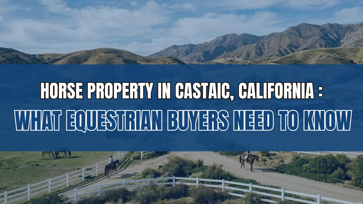 Horse Property in Castaic, California : What Equestrian Buyers Need to Know
