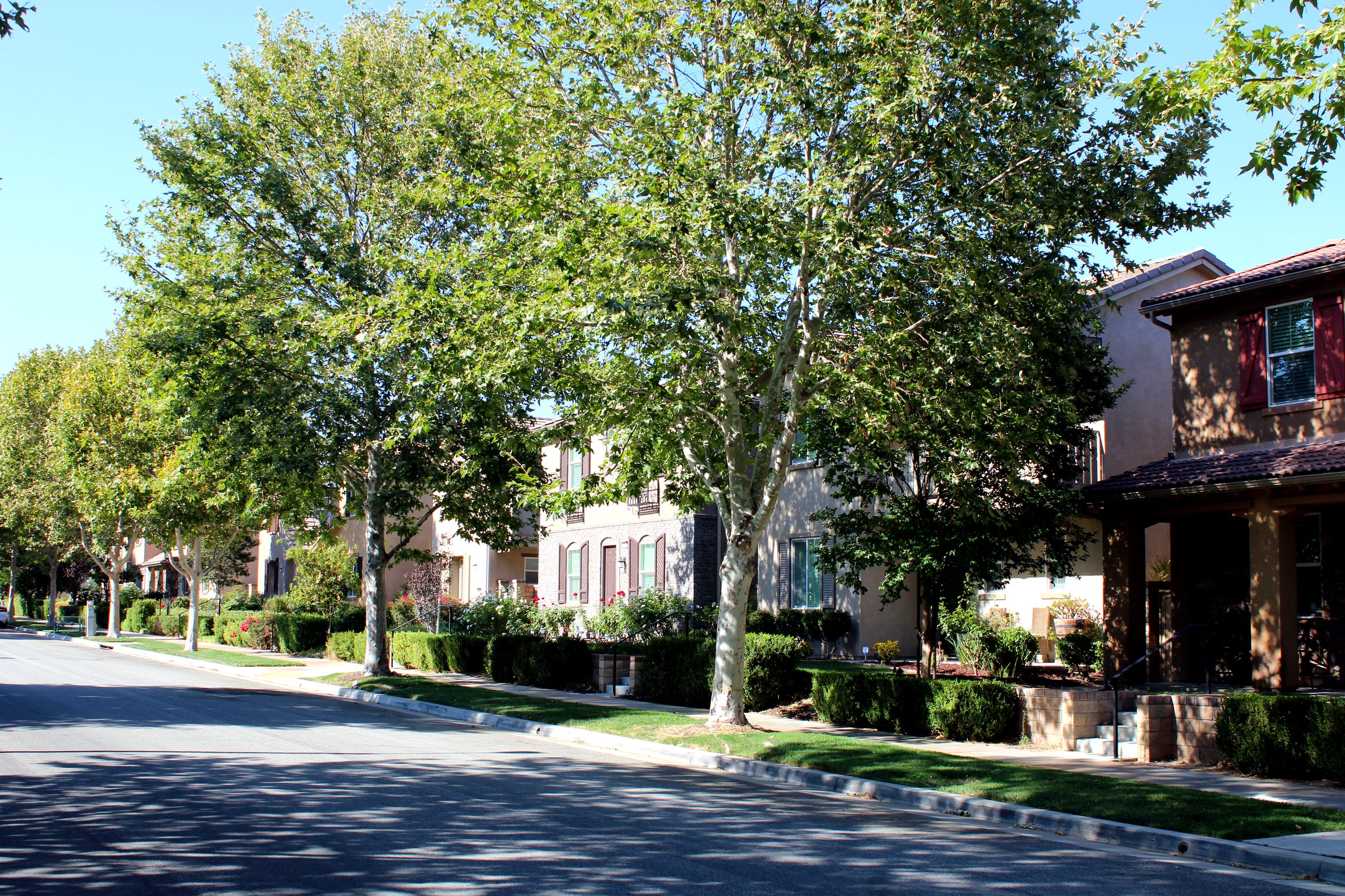 What Valencia Listing Prep Looks Like | Dubner