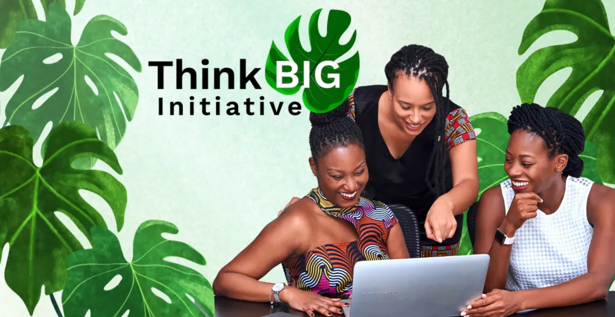 One Million Midwives Think Big Initiative: Community Conversation on Workforce Development
