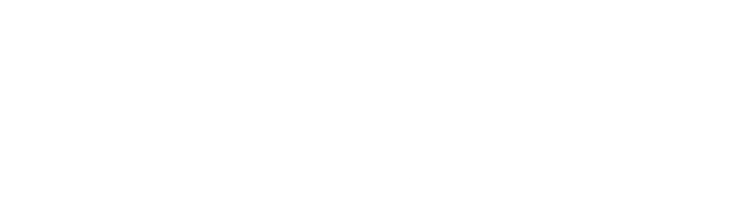 Tarpon Springs  Fencing Logo