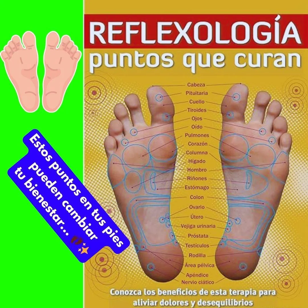 silhouette of palm tree near body of water during sunset