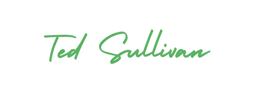 Script signature logo in white reading 'Ted Sullivan'
