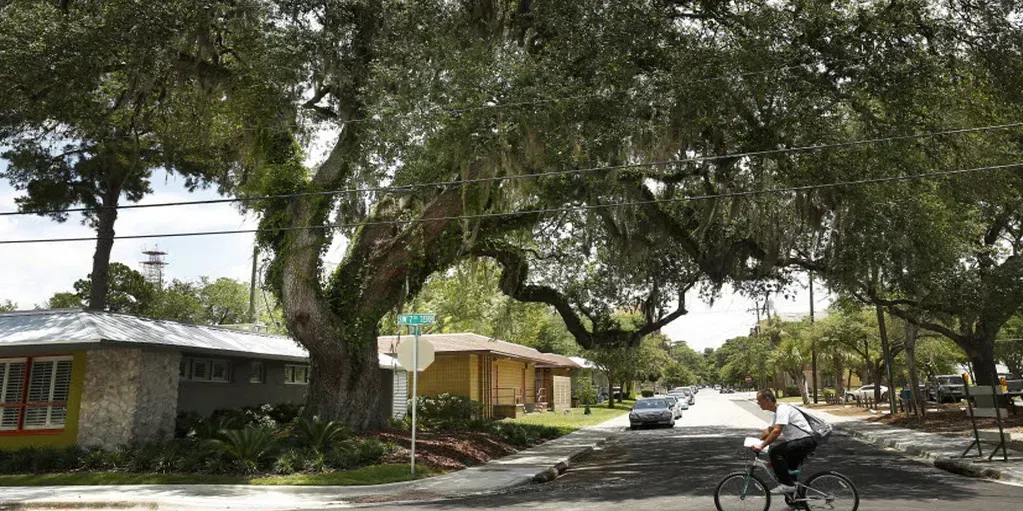 What People Get Wrong About Moving to Gainesville, Florida