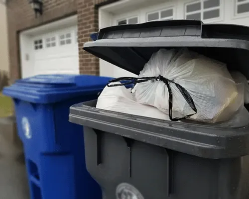 Trash Bin Cleaning Grand Junction