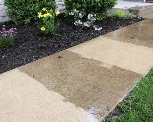 Commercial Bin Cleaning Grand Junction