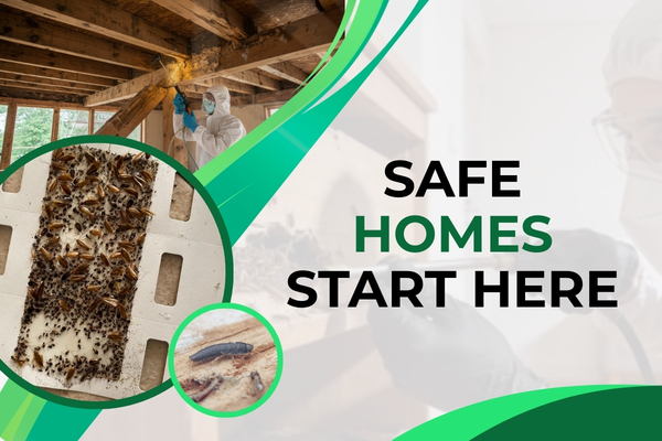 Technician inspecting a residential home for pests and applying pest control treatment.