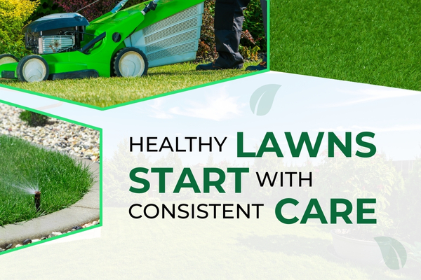 Healthy green lawn in Fort Myers maintained through regular professional lawn care services