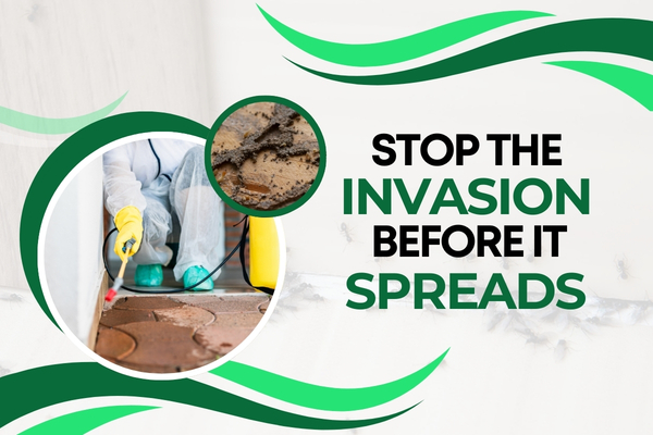 Pest control treatment being applied around a residential home in Fort Myers to prevent ants and roaches