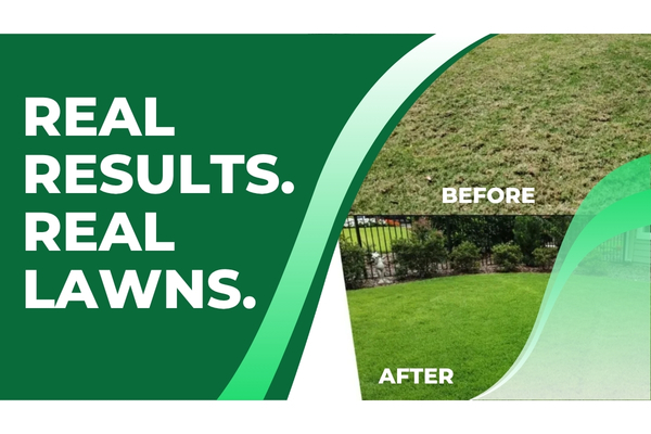 Damaged lawn in Fort Myers with weeds before treatment and a healthy lawn after restoration.