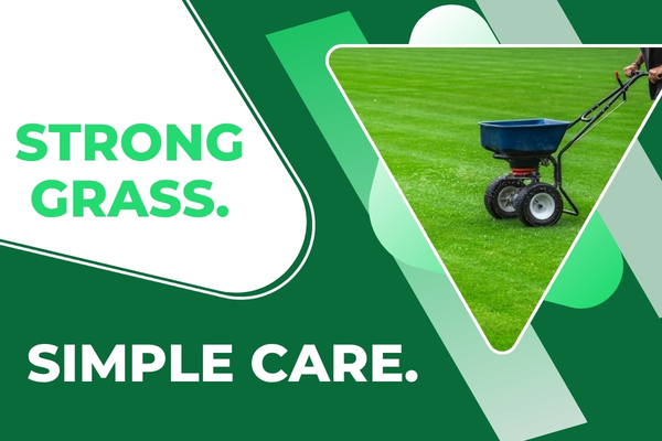 Lawn technician spreading fertilizer on a Fort Myers residential yard with lush green grass.