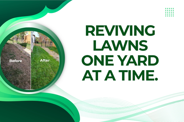 Before and after lawn recovery project showing improved grass health in Fort Myers.