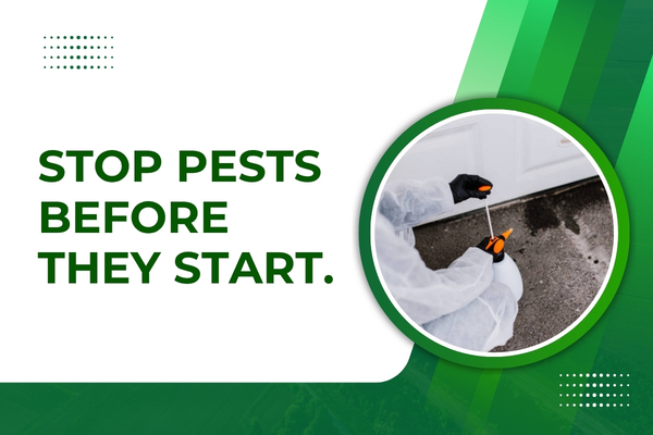 Preventative Pest Control in Fort Myers – Stop Infestations Before They Start