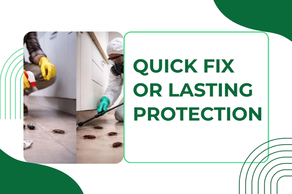 Comparison between DIY pest control products and professional pest treatment results.