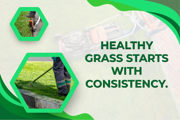 Lawn care professional mowing and edging a healthy residential yard in Fort Myers.
