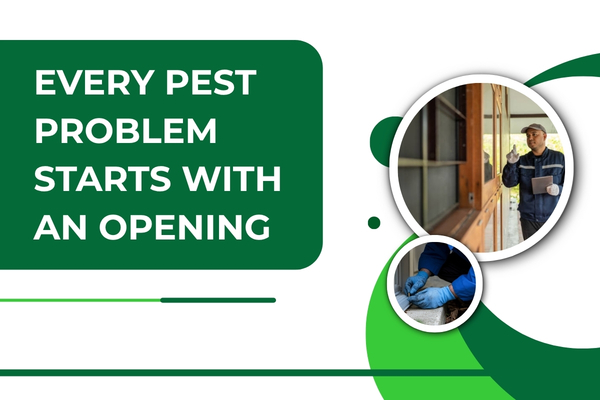 Pest control technician inspecting doors, windows, and exterior openings around a Fort Myers home.