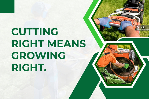 Professional lawn maintenance crew mowing a healthy Fort Myers lawn at the correct cutting height.