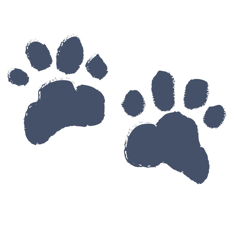 Paw