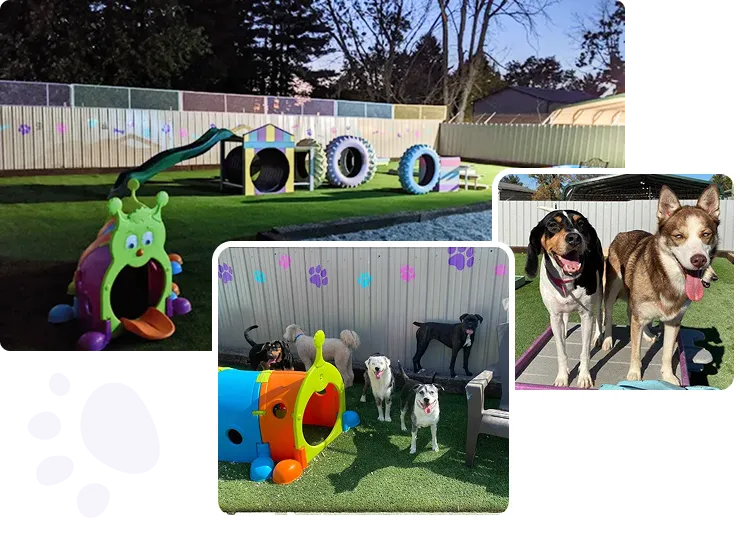 Facility and Equipment