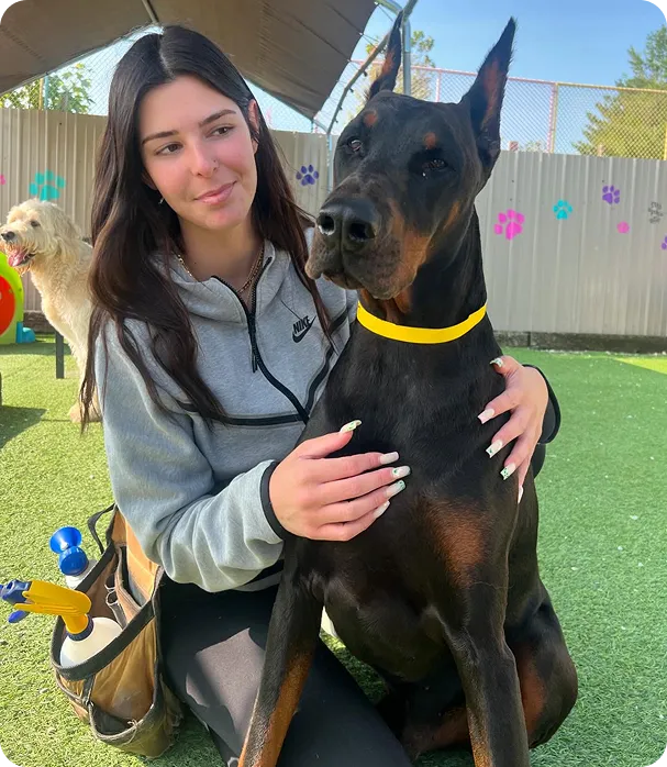 Experienced & Caring Trainers