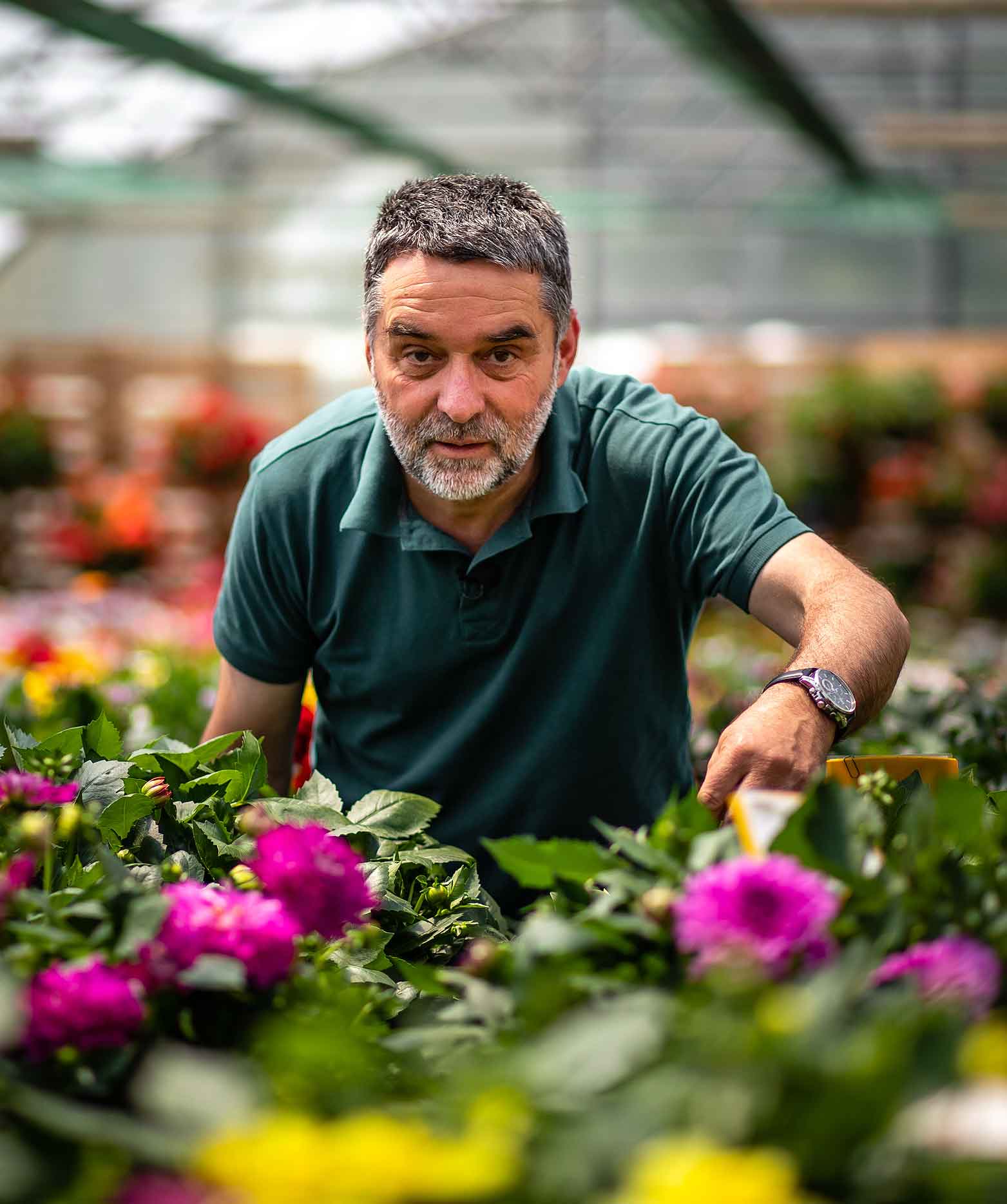 Dragan Sajić - stručnjak za hortikulturu