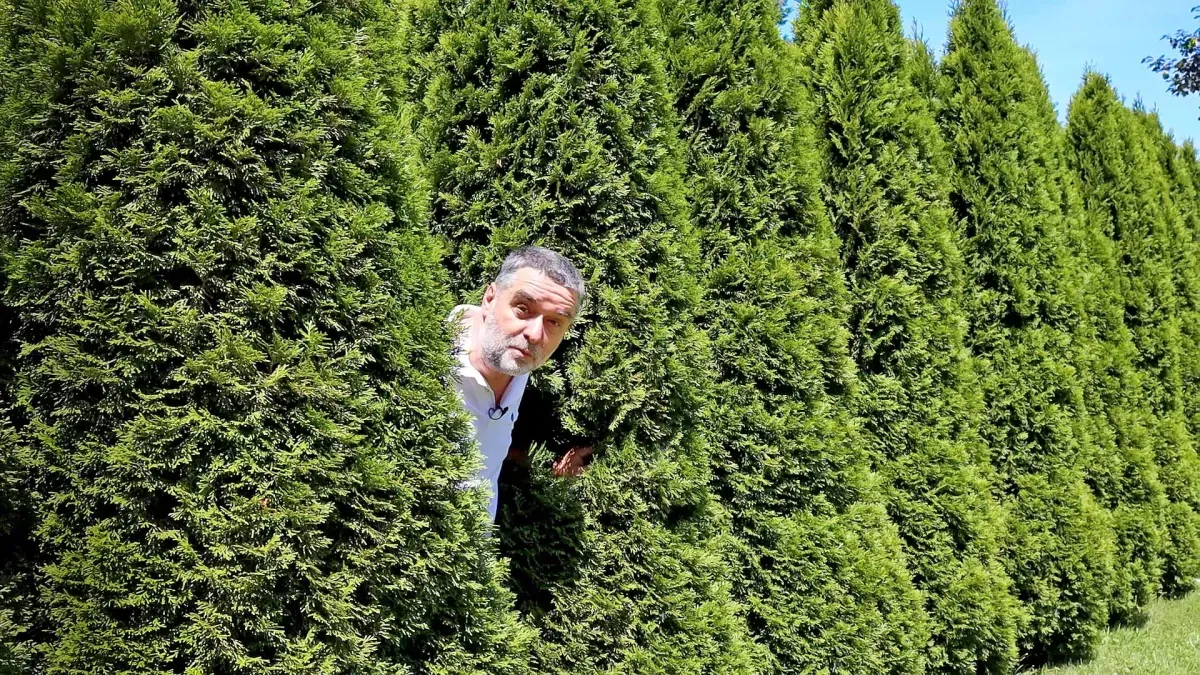 Dragan Sajić u prirodnom ambijentu sa negovanom zelenom živom ogradom
