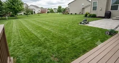 Lawn & Turf Solutions in San Diego