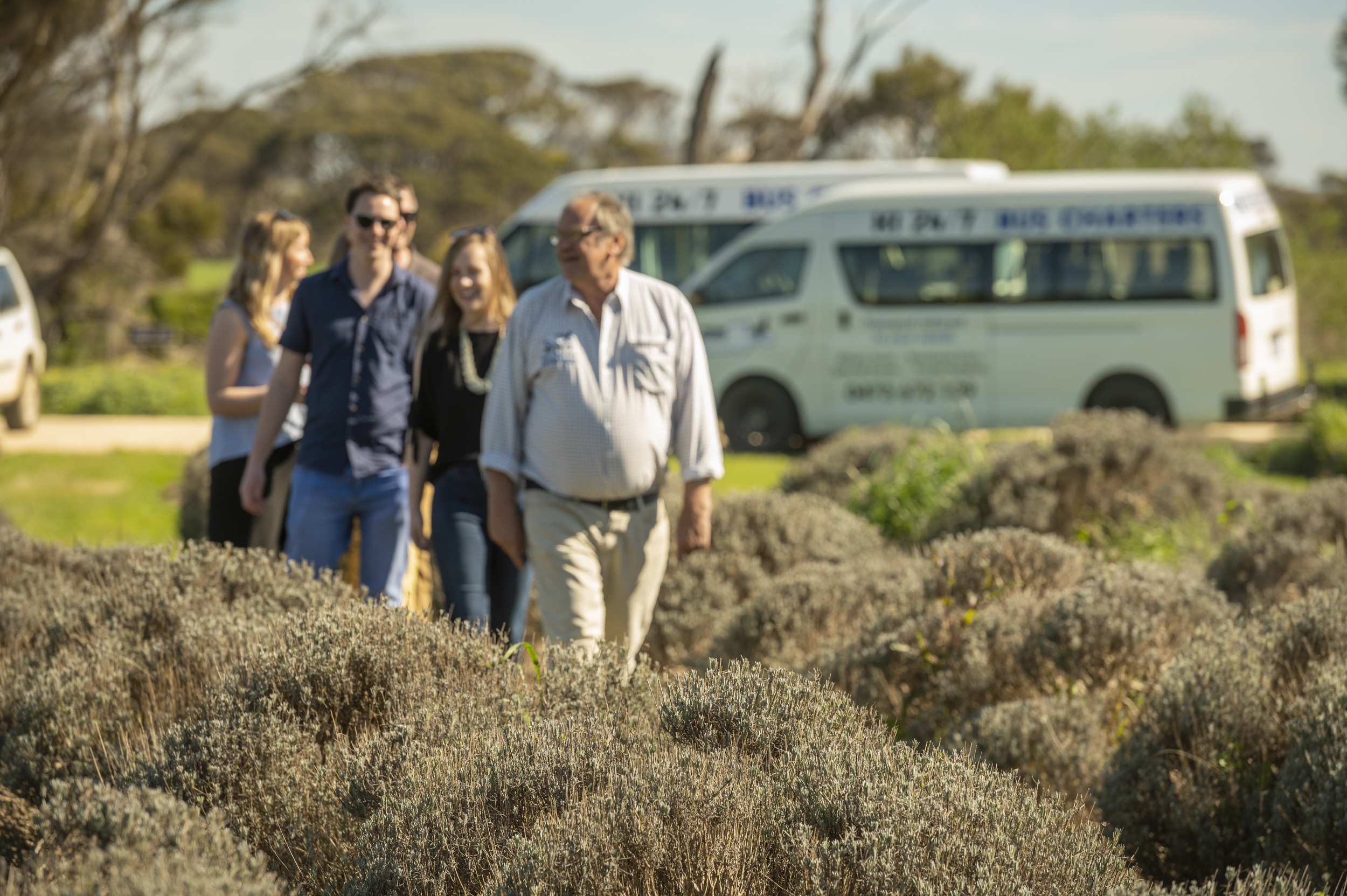 Lifestyle photo of local distillery or lavender farm on Kangaroo Island
